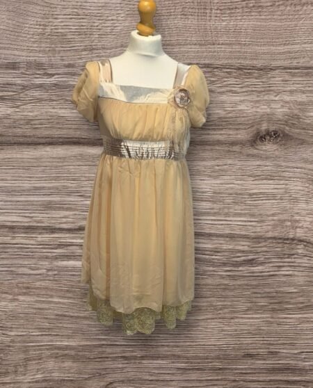 YBF2 Beige Lined Vintage Party Dress Sheer Overlay Flower Detail lace trim hem